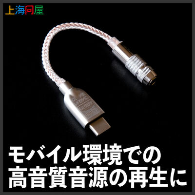 上海問屋  USB Type-C ポータブルDAC(CS46L41/384kHz/32bit)  DN-916047 [3.5mmステレオミニ端子変換]