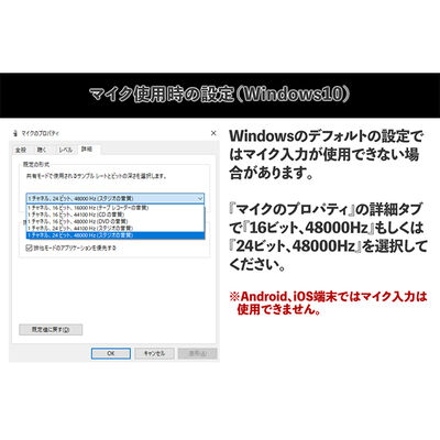 上海問屋  USB Type-C ポータブルDAC(CS46L41/384kHz/32bit)  DN-916047 [3.5mmステレオミニ端子変換]