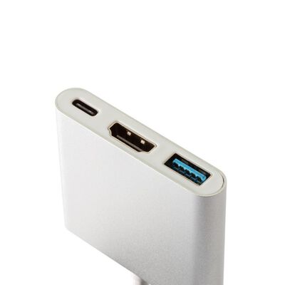 THIRDWAVE  USB Type-Cハブ (raytrektab対応) 