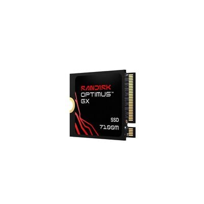 SanDisk  Optimus GX 7100M SDSP71200TAT-000E0 (M.2 2230 Gen4 2TB) 