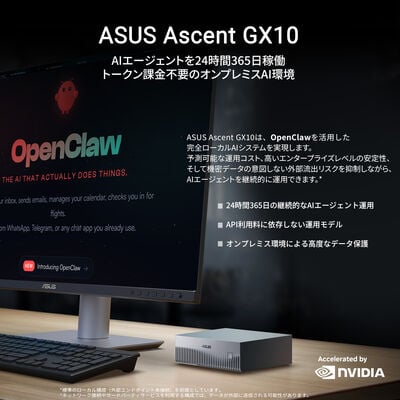 ASUS  Ascent GX10 GX10-GG0006BN 90MS0371-M00060 (1TB) 