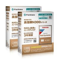 TOSHIBA  N302A24-HDWG82EUZSVA (24TB 2台セット) 
