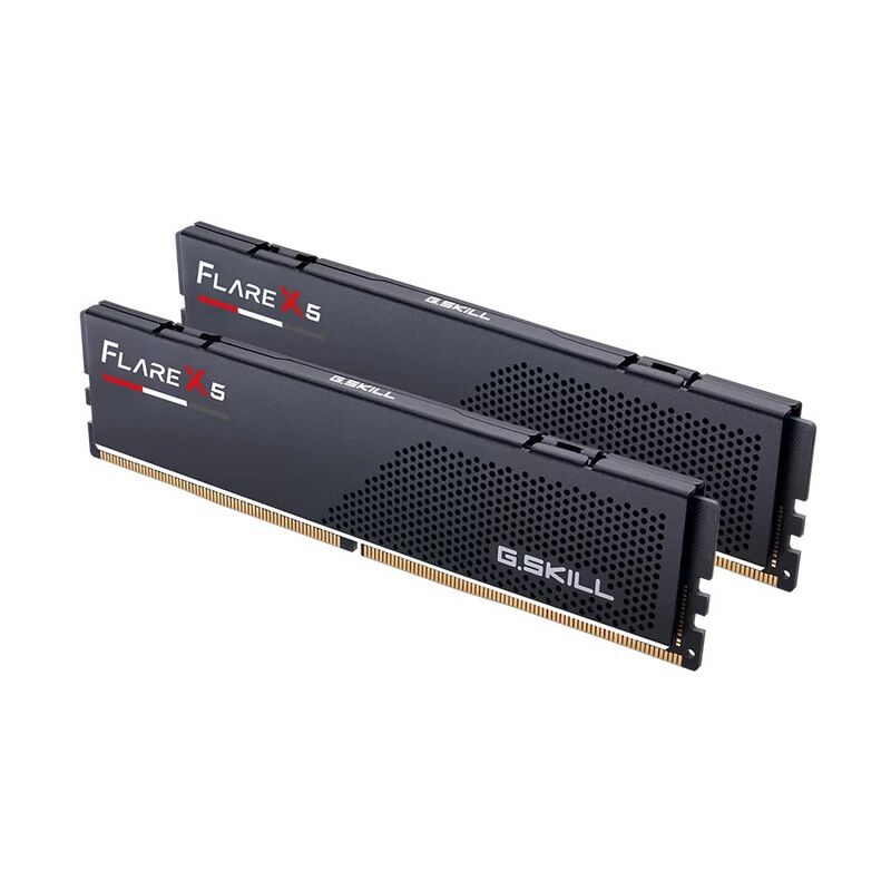 G.SKILL F5-6000J3636F16GX2-FX5 (DDR5 PC5-48000 16GB 2枚組