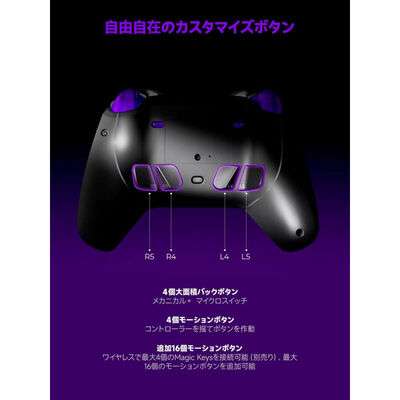 LEADJOY  XENO-PLUS-COMBO (ワイヤレス ゲームパッド ブラック) 