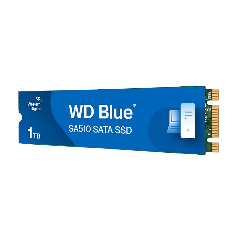 Western Digital WD Blue SA510 WDS100T3B0B (M.2 2280 1TB