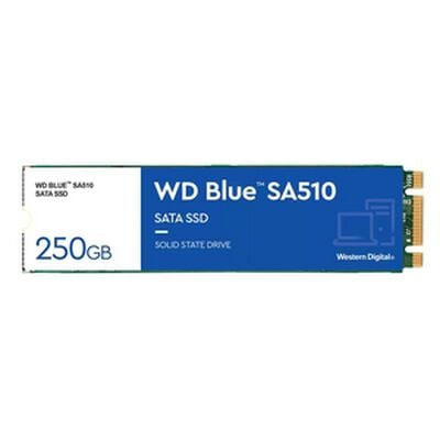 Western Digital  WD Blue SA510 WDS250G3B0B (M.2 2280 250GB) 