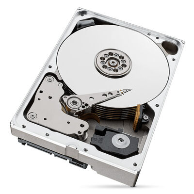 Seagate  IronWolf Pro ST10000NT001 (10TB) 