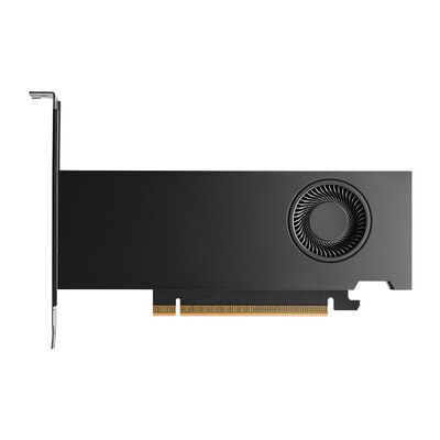 NVIDIA  NVIDIA RTX PRO 2000 Blackwell (LP) NVRTXPRO 2000 BW LP NVBOX 