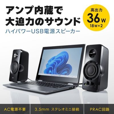 サンワサプライ  MM-SPL19UBK (ハイパワーUSB電源スピーカー) 