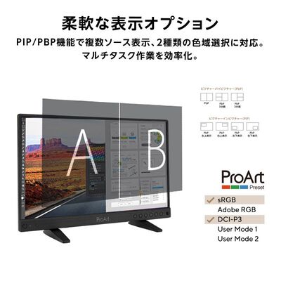 ASUS  ProArt Display PA16USV (15.6インチワイド 4K IPS 液晶モニター) 