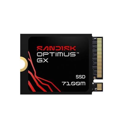 SanDisk  Optimus GX 7100M SDSP71100TAT-000E0 (M.2 2230 Gen4 1TB) 