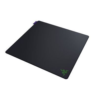 Razer  Gigantus V2 Pro L Max Control (RZ02-05490100-R3M1) 