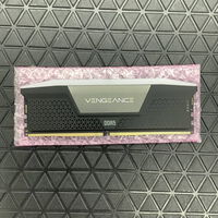 中古  PC5-48000 16GB デスクトップ用(DDR5-6000) 149154 