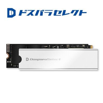 ドスパラセレクト  PG5-020TA1-MC (M.2 2280 Gen5 2TB) 