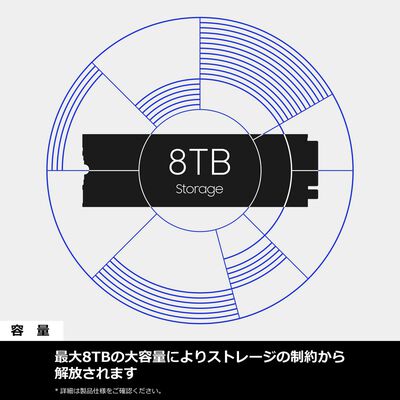 Samsung  9100 PRO with Heatsink MZ-VAP4T0C-IT (M.2 2280 4TB ヒートシンク付) 