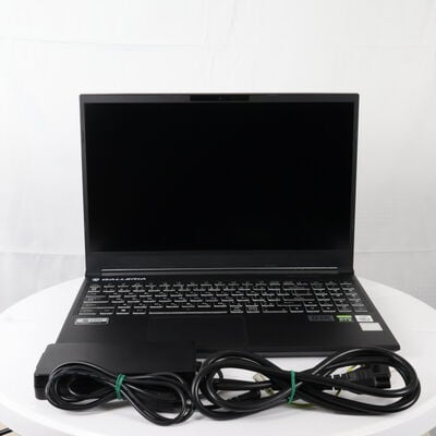 【通販センター】中古  THIRDWAVE GALLERIA GCL2060RGF5(Intel Core i5 10300H/16GB DDR4 (PC4)/SSD512GB/なし/NVIDIA GeForce RTX 2060 6GB/15.6/1920x1080/Wi-Fi/Windows 11 Home 64bit) 191588 