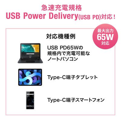 サンワサプライ  ACA-PD91BK (USB PD対応AC充電器 PD65W・Type-Cケーブル付き) 