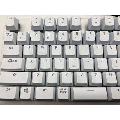 【仙台店】中古  Razer BlackWidow Lite JP RZ03-02640800-R3J1 オレンジ軸 3480041354 