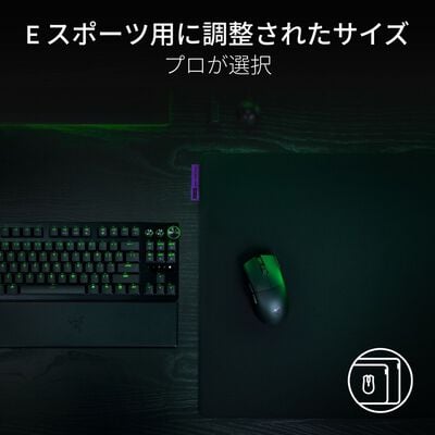 Razer  Gigantus V2 Pro L Max Control (RZ02-05490100-R3M1) 