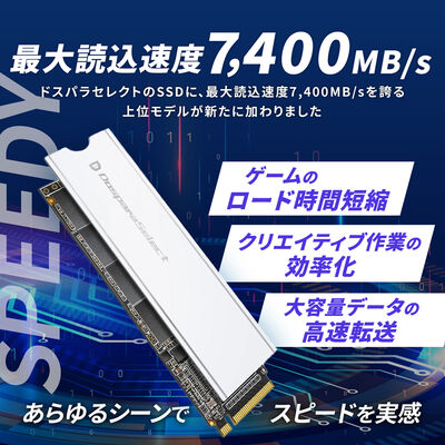 ドスパラセレクト  PGX4-020TA1 (M.2 2280 2TB) 