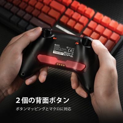 GameSir  Nova2 Lite Gray (ワイヤレス ゲームパッド グレー) 