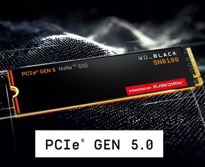 Western Digital  WD Black SN8100 WDS200T1X0M (M.2 2280 2TB) 