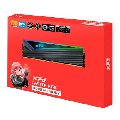 ADATA  AX5U6000C3016G-DCCARGY (DDR5 PC5-48000 16GB 2枚組 U-DIMM) 