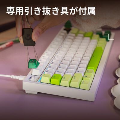 Logicool  G-KEYCAPS G-KC-FR (Forest) 