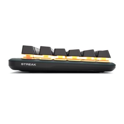 Fnatic  miniSTREAK Brown JP KB0002-028 