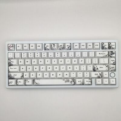 【佐賀南部バイパス店】中古  Everglide SU75 youth 5250001468 