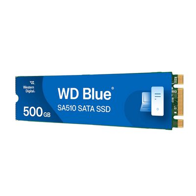 Western Digital  WD Blue SA510 WDS500G3B0B (M.2 2280 500GB) 