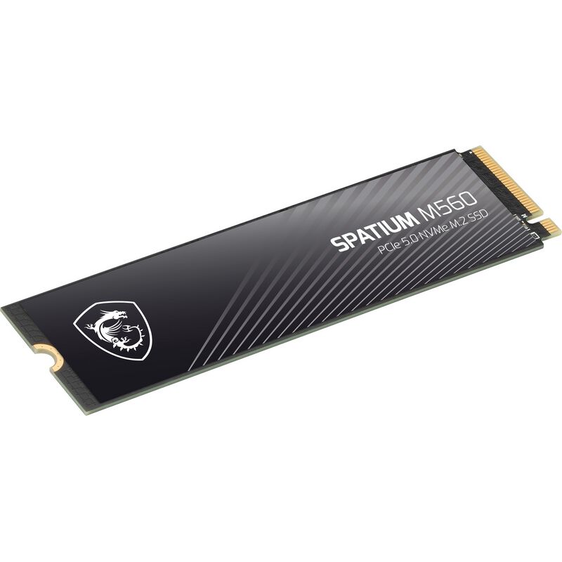 MSI SPATIUM M560 PCIe 5.0 NVMe M.2 1TB (M.2 2280 1TB) ｜ パソコン