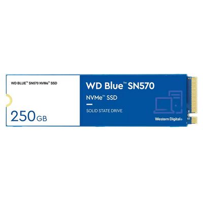 Western Digital  WD Blue SN570 WDS250G3B0C (M.2 2280 250GB) 