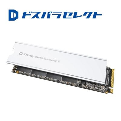 ドスパラセレクト  PGX4-010TA1 (M.2 2280 1TB) 