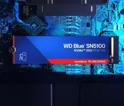 Western Digital  WD Blue SN5100 WDS200T5B0E (M.2 2280 2TB) 