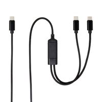 AINEX  UYC-CC12P10 (USB-C二股充電ケーブル PD100W対応 1.2m) 