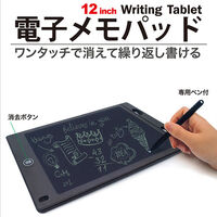 磁気研究所  HIDISC 12インチ電子メモパッド（テスト用：CR2025電池付属）HDMPAD120BK-RX (184685) 