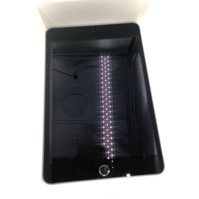 【水戸赤塚店】中古  Apple iPad mini （第5世代/2019） Wi-Fi + Cellular 256GB スペースグレイ 国内版SIMロックフリー FUXC2J/A 4680001763 