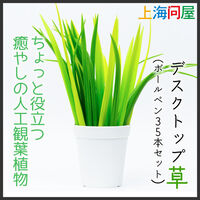 上海問屋  デスクトップ草(ボールペン) DN-915714 
