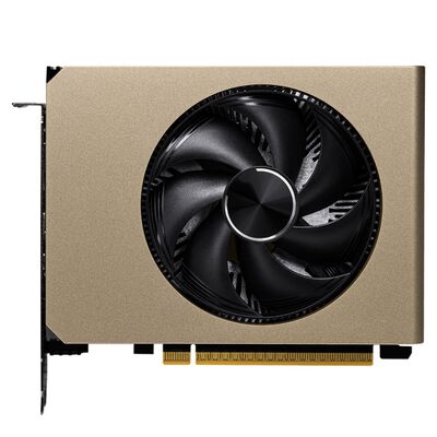 MSI  GeForce RTX 5060 8G INSPIRE ITX OC (GeForce RTX 5060 8GB) 