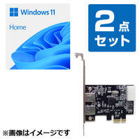 【OS+USBカード】Windows 11 Home 64bit 日本語 DVD (DSP) + USBカードセット