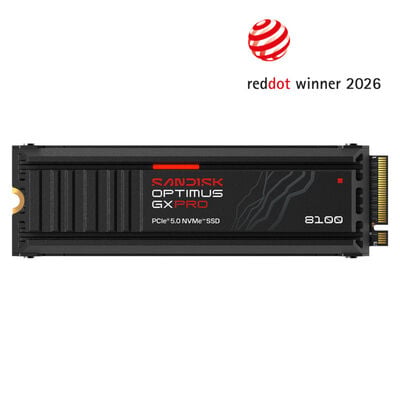 SanDisk  Optimus GX PRO 8100 SDSP82200TAH-000E0 (M.2 2280 Gen5 2TB ヒートシンク搭載) 