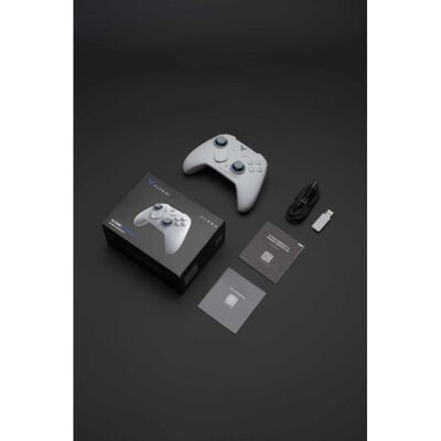 Flydigi  DIREWOLF4 (ワイヤレス ゲームパッド ホワイト) 