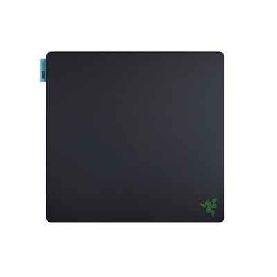 Razer  Gigantus V2 Pro L Control (RZ02-05490400-R3M1) 