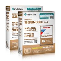 TOSHIBA  N302A10-HDWG71AUZSVA (10TB 2台セット) 