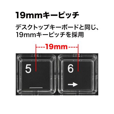 サンワサプライ  NT-19UH2BKN2 (プログラマブルテンキー) 
