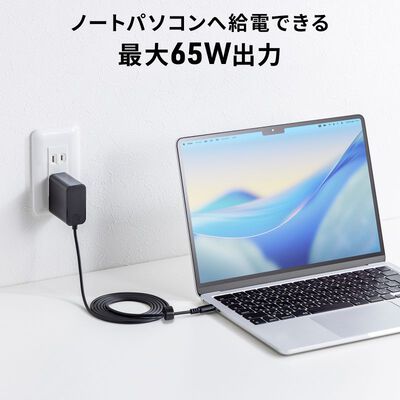 サンワサプライ  ACA-PD110BK (USB PD対応AC充電器 PD65W・Type-Cケーブル一体型) 