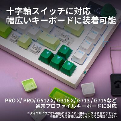 Logicool  G-KEYCAPS G-KC-FR (Forest) 