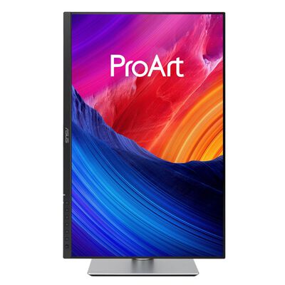ASUS  ProArt Display PA248QV Gen2 PA248QFV-P (24.1インチワイド 液晶モニター) ドスパラ限定モデル 