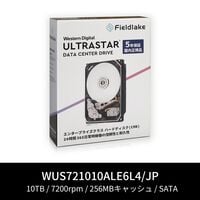 Western Digital  WUS721010ALE6L4/JP (10TB) 